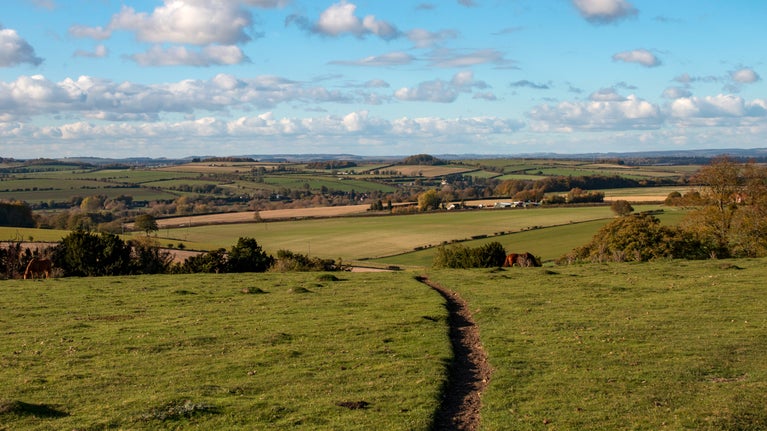 Panoramic view over Stockbridge Down with path running down the hill to fields, Hampshire